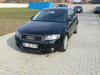 Audi A3 2.0tdi 140KM Skóra Klima Alu17 Raty Zamiana. Strobice - zdjęcie 2