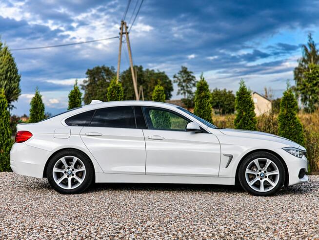 BMW 420 Sadlno - zdjęcie 4
