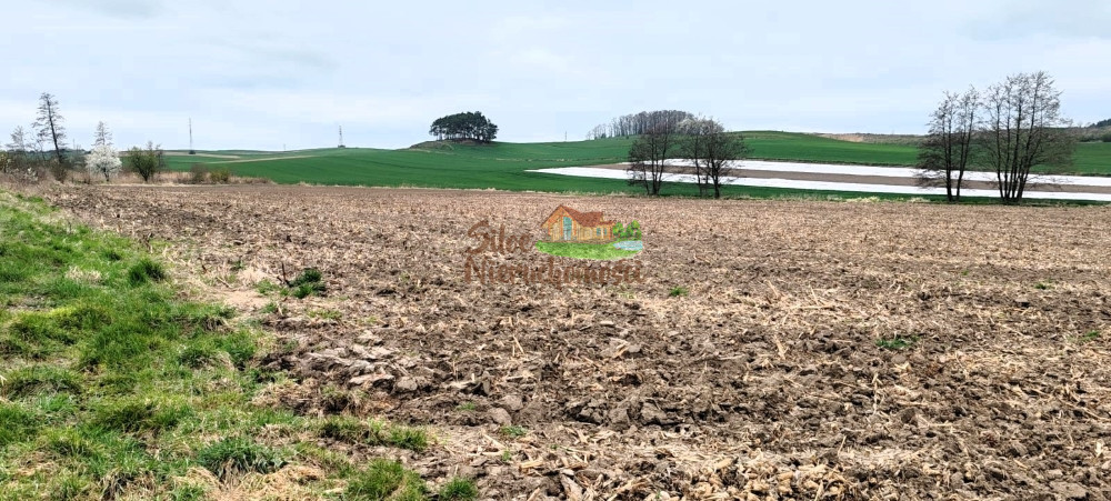 90ar działka przemysłowa Jaczów. Jaczów - zdjęcie 2