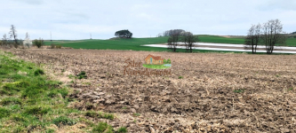 90ar działka przemysłowa Jaczów. Jaczów - zdjęcie 2