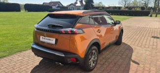 Peugeot 2008 KAMERA 360-LIFT-LED-METALIC Paproć - zdjęcie 9