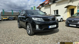 Kia Sorento Panorama, skóry, ksenon, navi, AWD Zieleniewo - zdjęcie 1