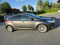 Ford Focus 1.5tdci  navi bezwypadkowy alufegi pdc Drelów - zdjęcie 7