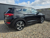 Hyundai Tucson 1.6 177ps T-GDI Turbo Navi Kamera Cofania Led AUTOMAT Gniezno - zdjęcie 7