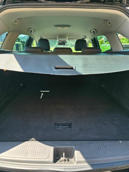 Ładna Astra Marcinowice - zdjęcie 11