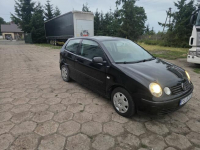 Vw polo uszkodzony Słupca - zdjęcie 5