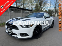Ford Mustang 5.0 GT 69 tyś km Niski przebieg Jasna skóra!