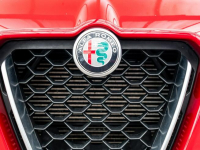 Alfa Romeo Stelvio 2.0 Turbo Business Q4 A8 200KM Salon Polska Poznań - zdjęcie 12