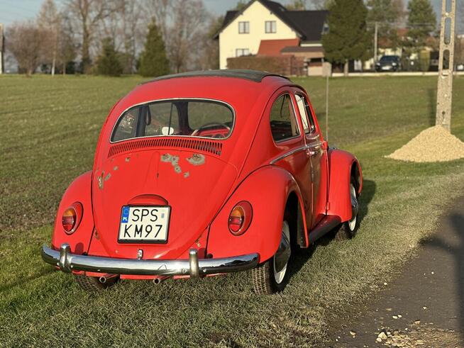 VW Volkswagen Garbus dziadek 1959 rok. Zarejestrowany w PL Pszczyna - zdjęcie 4