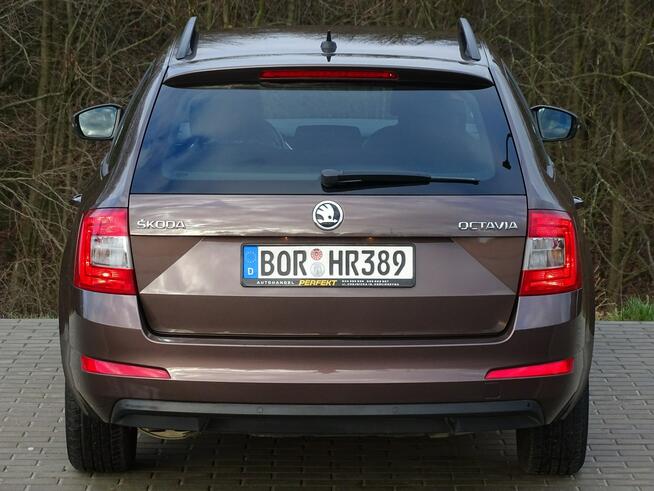 Skoda Octavia 2.0 Tdi DSG, Niski Przebieg! Bezwypadkowa! Gwarancja! Kościerzyna - zdjęcie 10