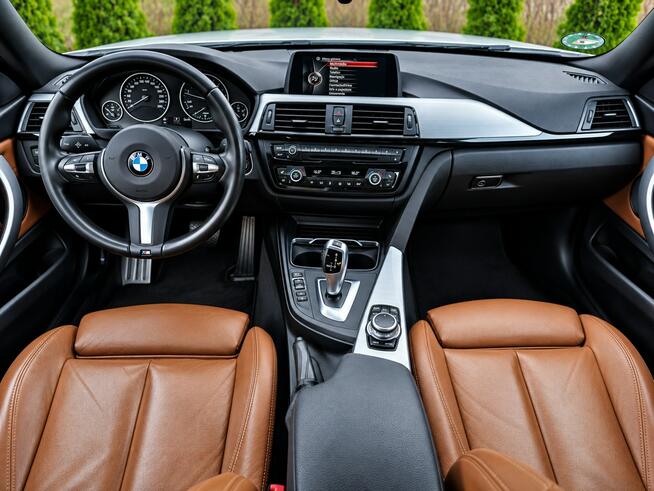BMW 420 Sadlno - zdjęcie 11