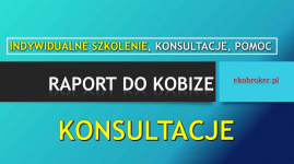 Raport do Kobize, t.502-032-782, raportowanie, wykonanie raportu, cena Psie Pole - zdjęcie 11