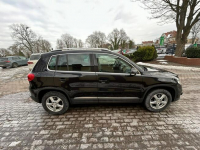 Volkswagen Tiguan 1.4 TSi webasto super stan Słupsk - zdjęcie 4