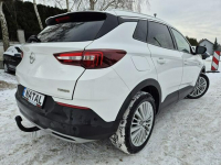 Opel Grandland X Najbogatsza wersja* Skora* Model 2019 Bydgoszcz - zdjęcie 2