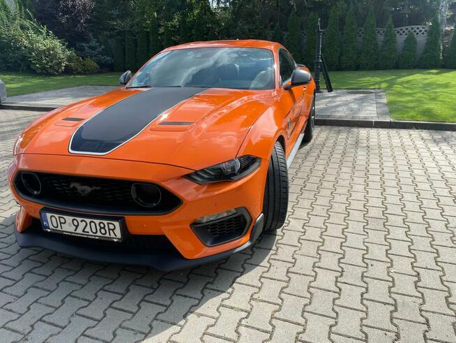 Mustang Ford sprzedam Poznań - zdjęcie 2