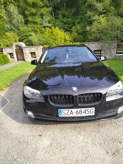 Sprzedam Pilica - zdjęcie 6