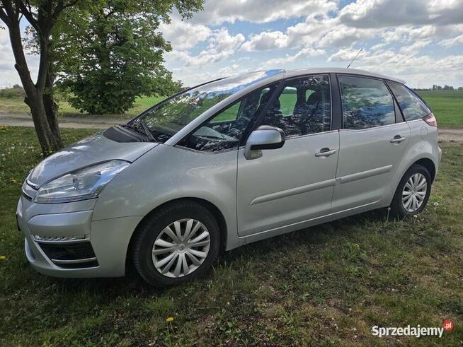 Citroen C4 Picasso 1.6 e-HDI automat Sołeczno - zdjęcie 6