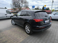 Audi Q5 2.0 TDi 190KM Quattro Skóra Navi Automat Łuków - zdjęcie 8