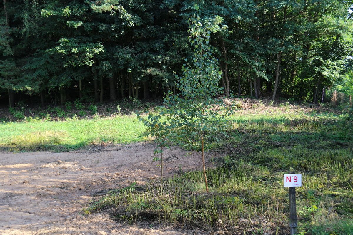 Atrakcyjna działka 983m2 Niewodnica Kościelna Niewodnica Kościelna - zdjęcie 5
