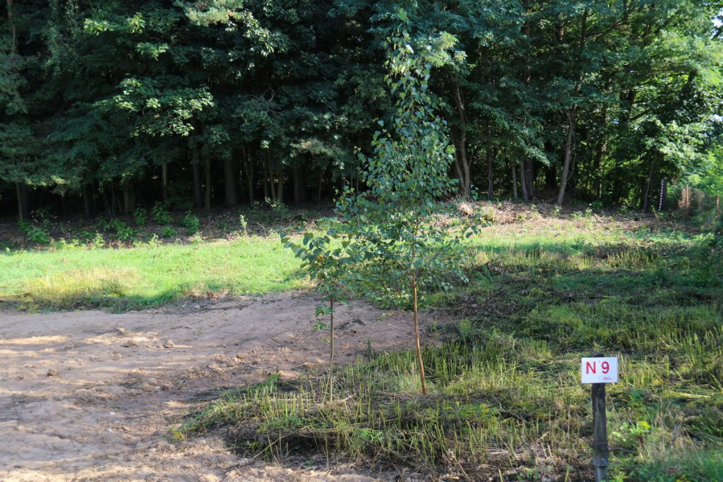 Atrakcyjna działka 983m2 Niewodnica Kościelna Niewodnica Kościelna - zdjęcie 5