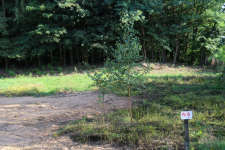 Atrakcyjna działka 983m2 Niewodnica Kościelna Niewodnica Kościelna - zdjęcie 5