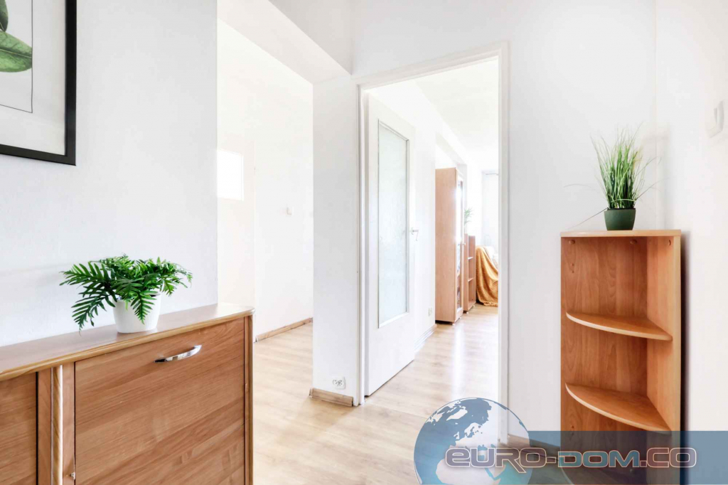 Duża i przestronna kawalerka z garderobą Jeżyce - zdjęcie 12