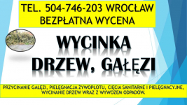 Przycinanie gałęzi, cena,  t.504-746-203, Wrocław,  przycięcie,cięcie Psie Pole - zdjęcie 2