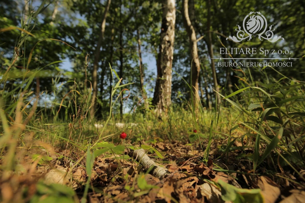 Piękny dom w zabudowie bliźniaczej z garażem i ogrodem Siechnice - zdjęcie 7