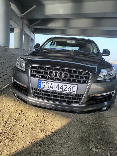 Kukurydza 7 Cedry Małe - zdjęcie 12