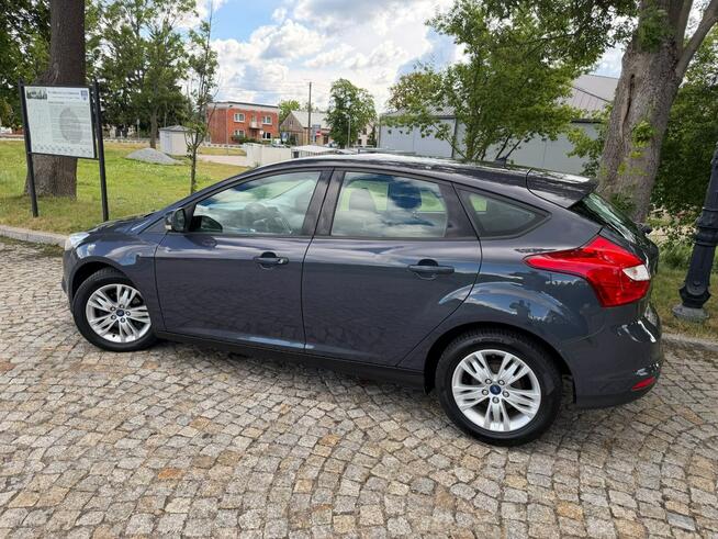 Ford Focus 1.6 TDCi DPF Champions Edition Gostynin - zdjęcie 12