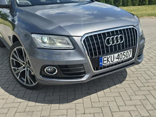 Audi Q5 2,0tdi Skóry.Navi.Klimatr 2 str.Tempomat.Alufelgi.Xenony Kutno - zdjęcie 4