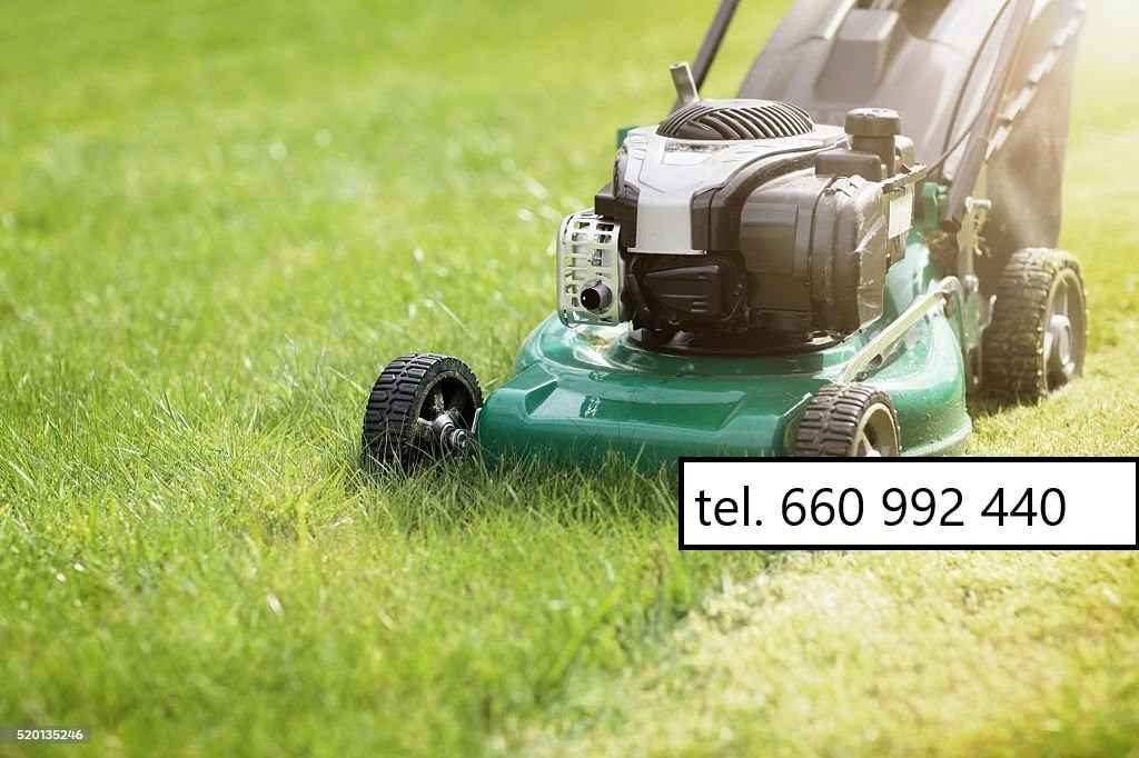 Koszenie trawników, jesienne prace ogrodowe Gdańsk - zdjęcie 2