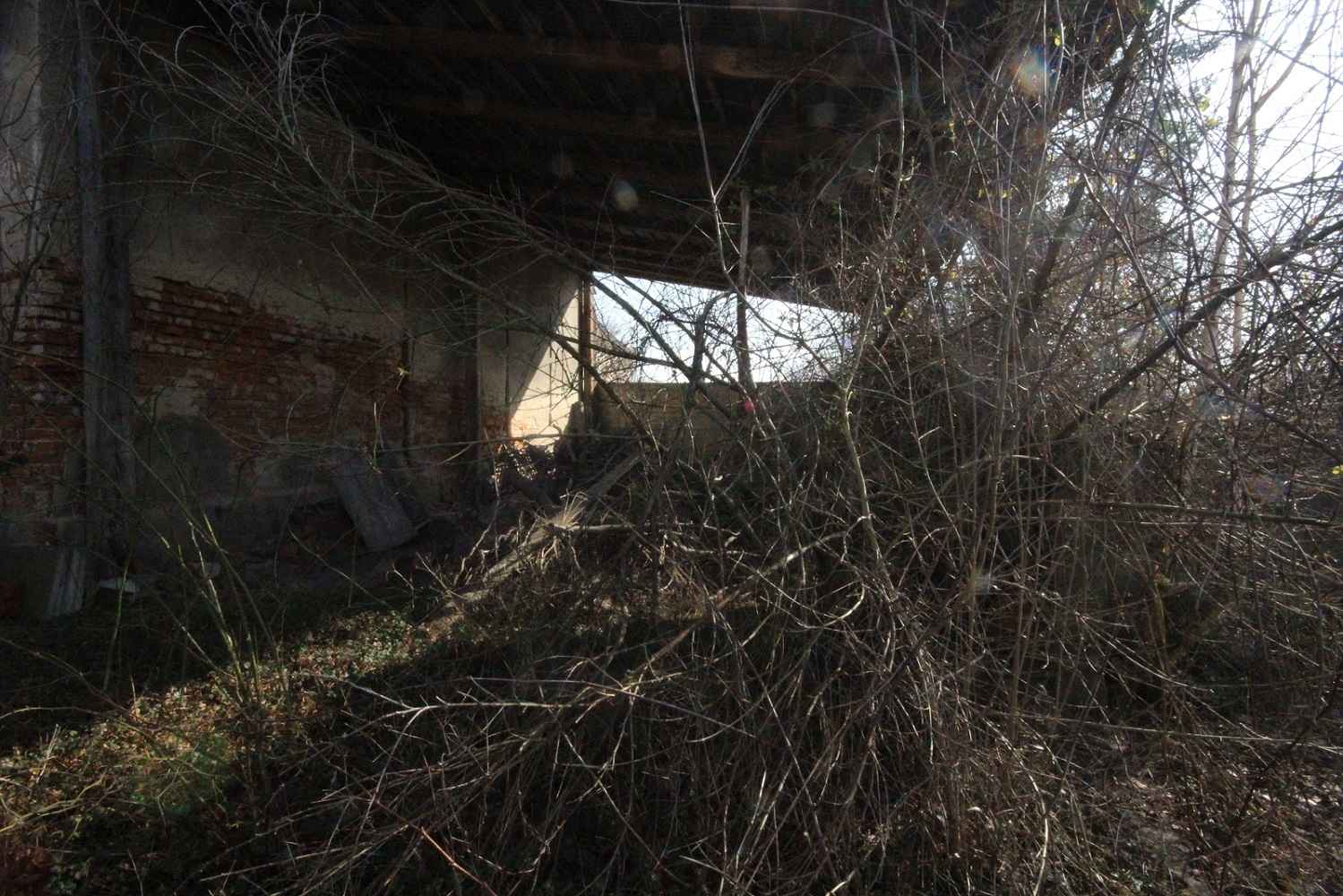 5pok, 200met, Jenkowice STODOŁA/OGRÓD/GARAŻ (Jenkowice) Jenkowice - zdjęcie 10