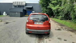 Salon Polska I Właściciel wersja lifestyle Łomianki - zdjęcie 6