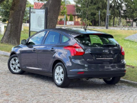 Ford Focus 1.6 TDCi DPF Champions Edition Gostynin - zdjęcie 4