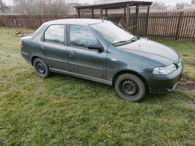 Sprzedam Wierzchowiny - zdjęcie 5