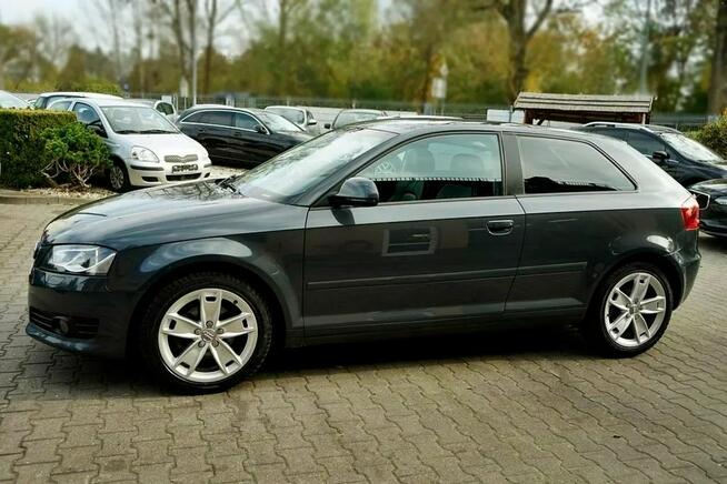 Audi A3 1,8TFSI Klima, alu R17, NAVI, Xenon, 160KM Płock - zdjęcie 8