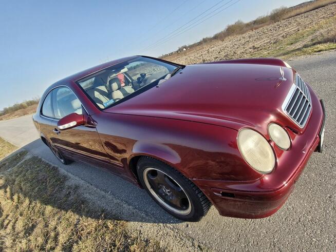 Mercedes CLK Tuczępy - zdjęcie 5