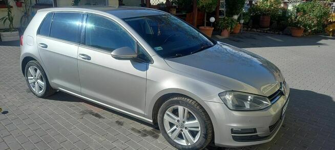 Volkswagena Golf VII 1.6 tdi Kawęczyn - zdjęcie 2