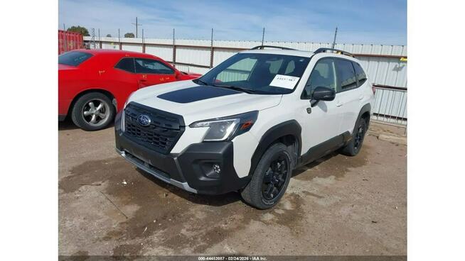 Subaru Forester Wilderness / 4x4 / automat / Tarnów - zdjęcie 1