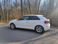 audia A3 1.6tdi / 2011rok/ jeden własciciel w kraju Zambrów - zdjęcie 5