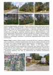 Syndyk sprzeda udziały w grunatach Jastkowice - Stalowa Wola Pisz - zdjęcie 4