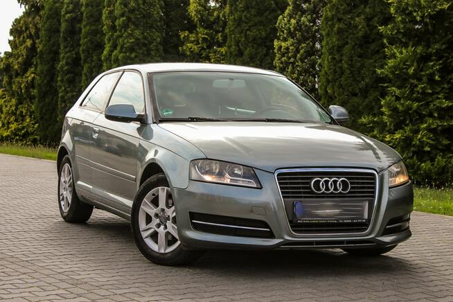 Audi A3 105KM Klimatronik Parktronik Lift Ostrów Mazowiecka - zdjęcie 5