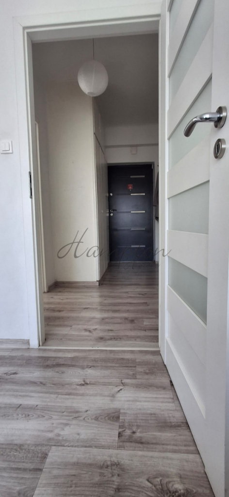 Dwa ciche piękne pokoje w ścisłym centrum Śródmieście - zdjęcie 8