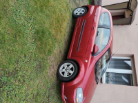 Sprzedaż Okonek - zdjęcie 5