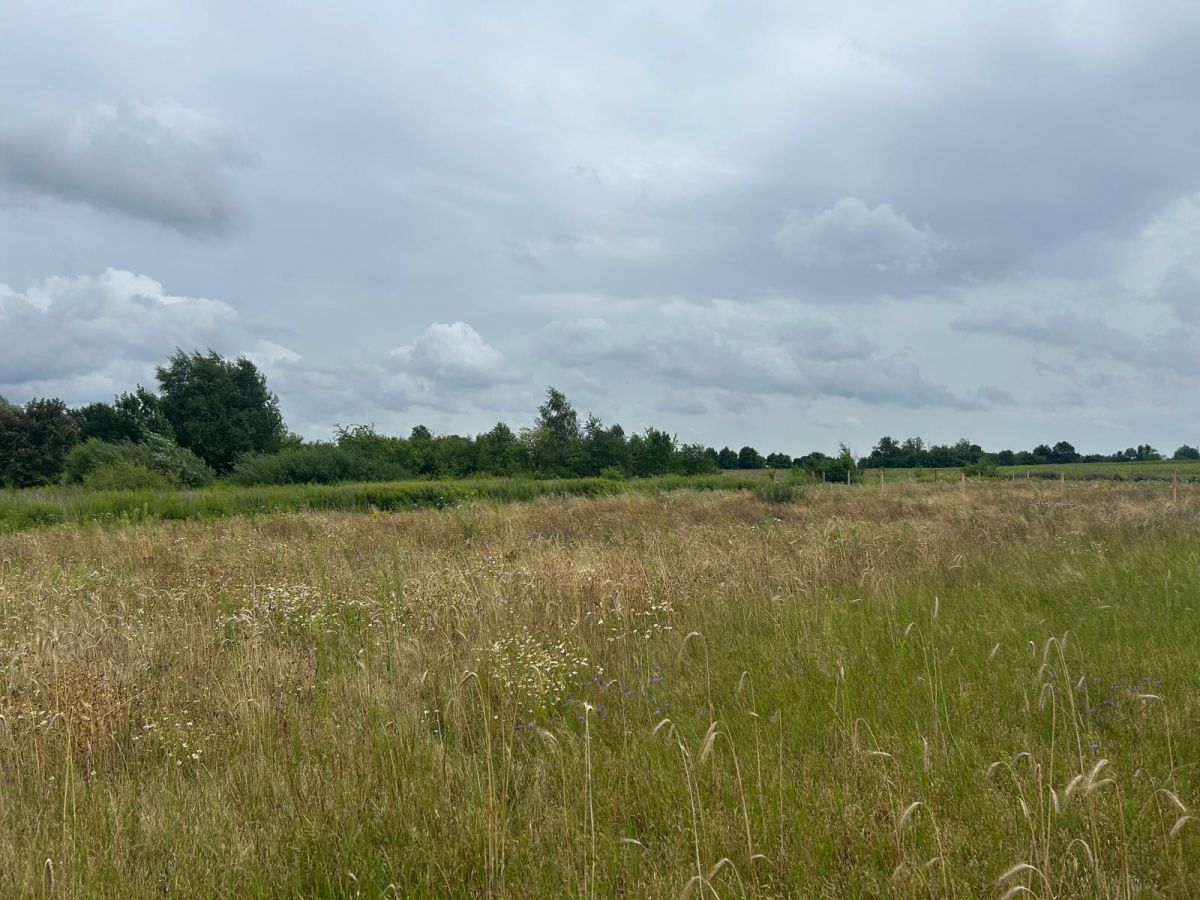 Działki budowlane z WZ, w zielonej części Poznania Poznań - zdjęcie 2