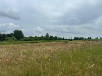 Działki budowlane z WZ, w zielonej części Poznania Poznań - zdjęcie 2