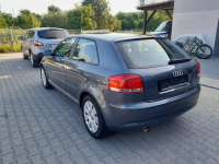 Audi A3 1.6i  103 PS MPI alufelgi klimatronik parktronik stan BDB Gryfino - zdjęcie 4