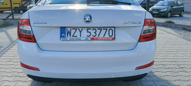 Škoda Octavia Bogate wyposaż. tylko 70tkm. ! 4-cylindry polecam Stare Budy - zdjęcie 5