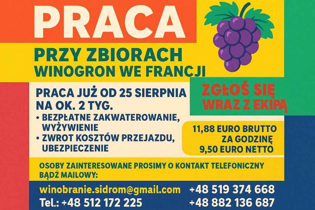 WINOBRANIE FRANCJA Busko-Zdrój - zdjęcie 1